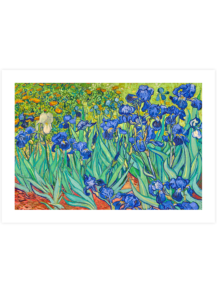Van Gogh Irises - Art Print Ürün ana görseli