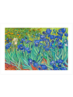 Van Gogh Irises - Art Print