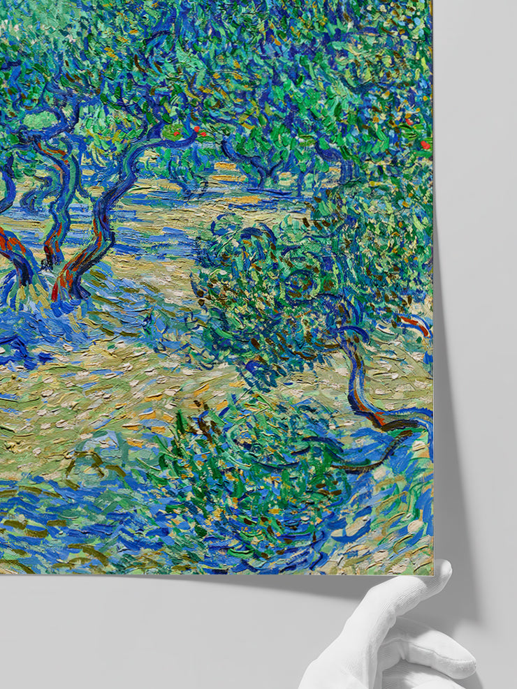 Van Gogh Olive Orchard - Art Print  Poster