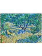 Van Gogh Olive Orchard - Art Print