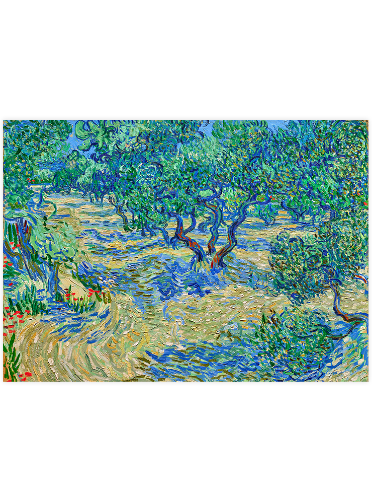 Van Gogh Olive Orchard - Art Print