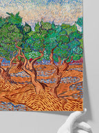 Van Gogh Olive Trees - Art Print