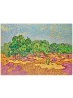 Van Gogh Olive Grove - Art Print