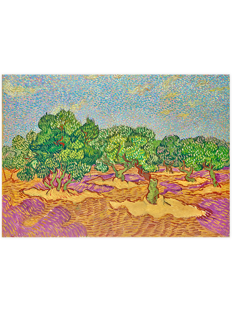 Van Gogh Olive Grove - Art Print