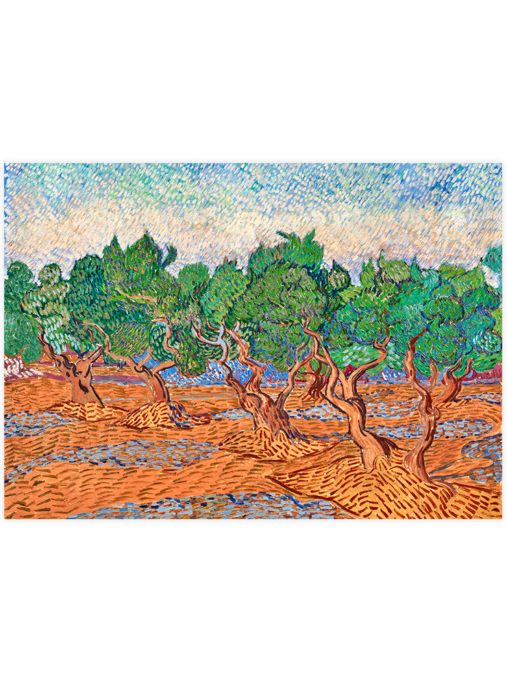 Van Gogh Olive Trees - Art Print Ürün ana görseli