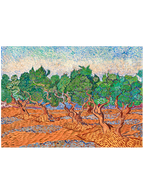 Van Gogh Olive Trees - Art Print