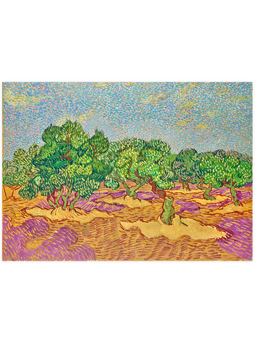 Van Gogh Olive Grove - Art Print