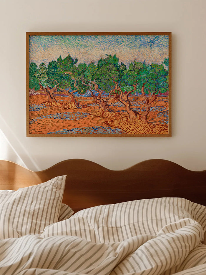 Van Gogh Olive Trees - Art Print  Poster
