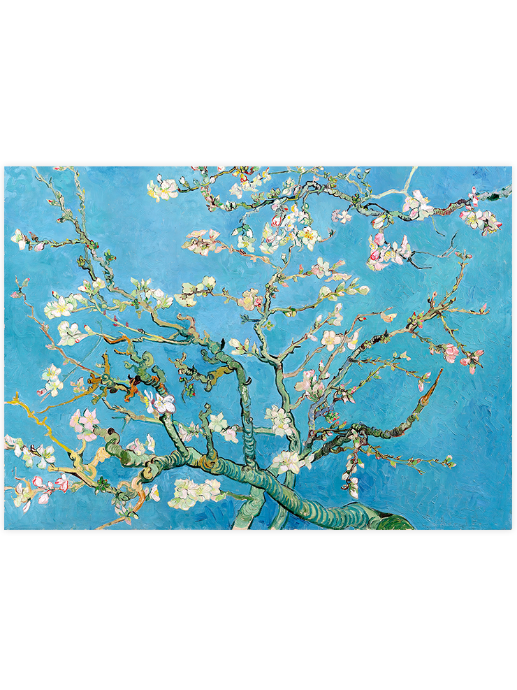 van Gogh Almond Blossoms - Art Print Ürün ana görseli