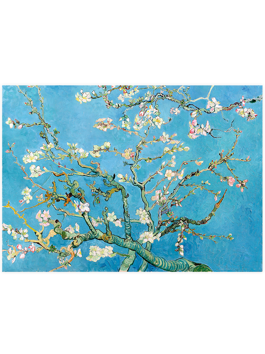 van Gogh Almond Blossoms - Art Print