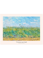 Van Gogh Tarlada Tarla Kuşu - Art Print