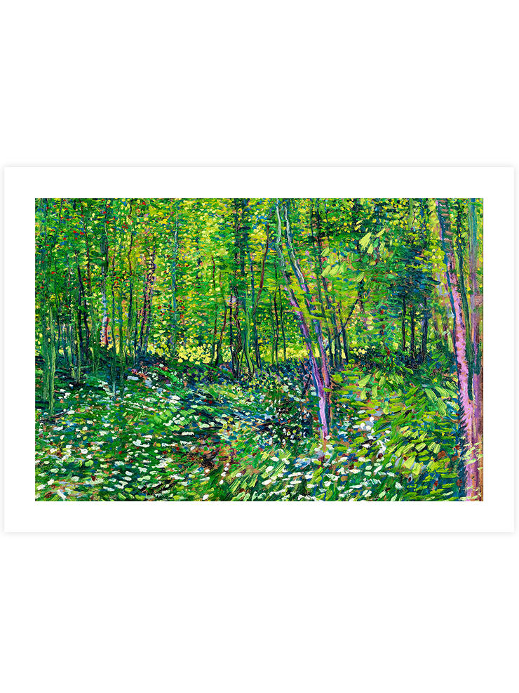 Van Gogh Trees and Undergrowth - Art Print Ürün ana görseli