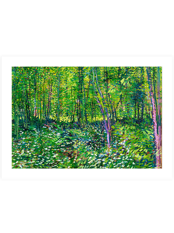 Van Gogh Trees and Undergrowth - Art Print