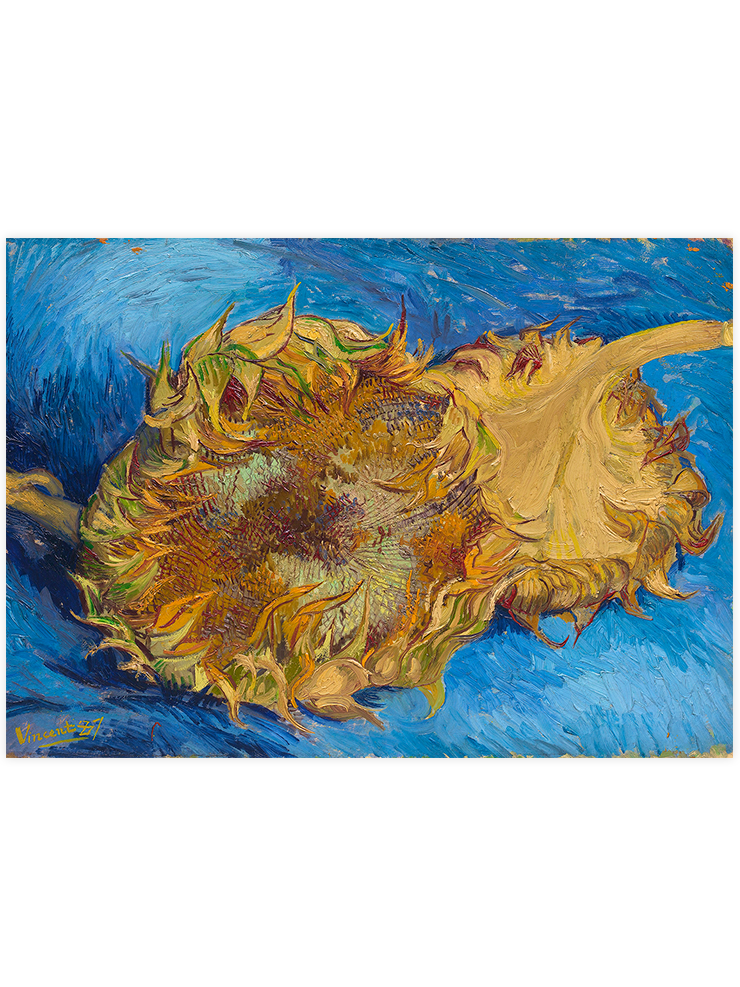 Van Gogh Two Cut Sunflowers - Art Print