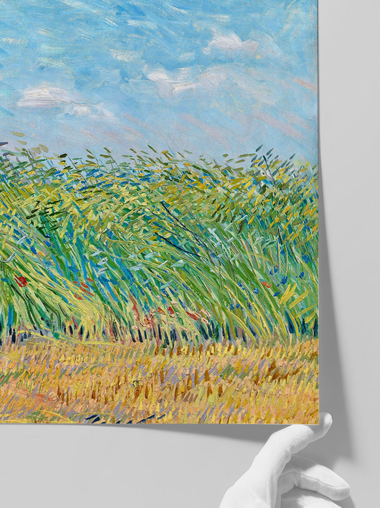 Van Gogh Wheatfield with a Lark - Art Print