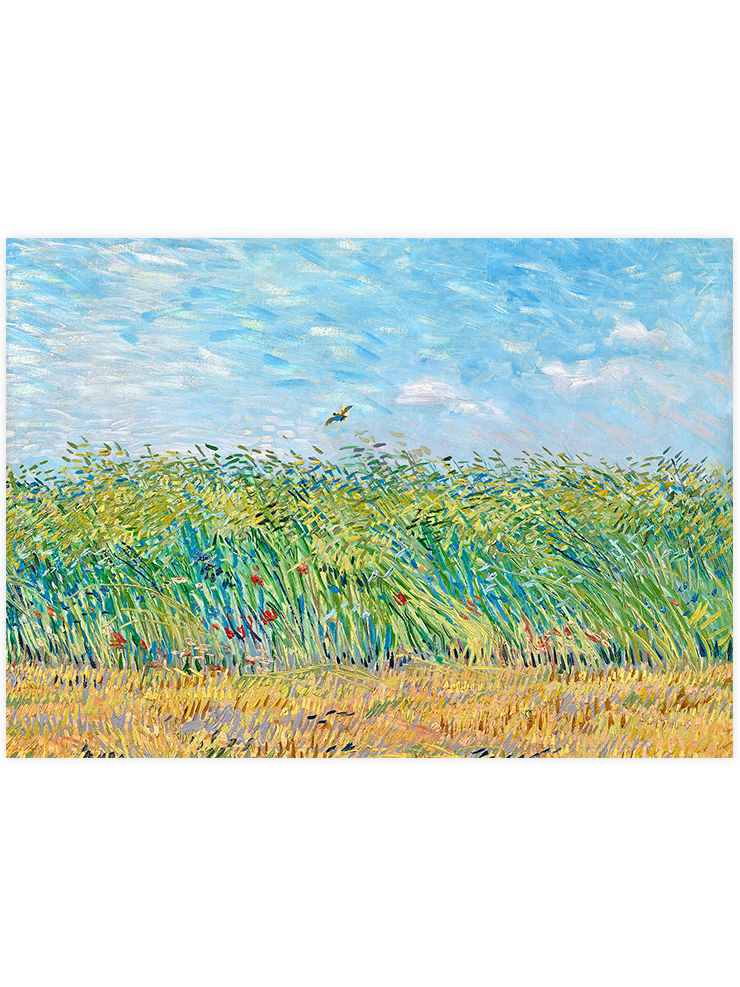 Van Gogh Wheatfield with a Lark - Art Print Ürün ana görseli