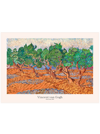 Van Gogh Zeytin Ağaçları - Art Print