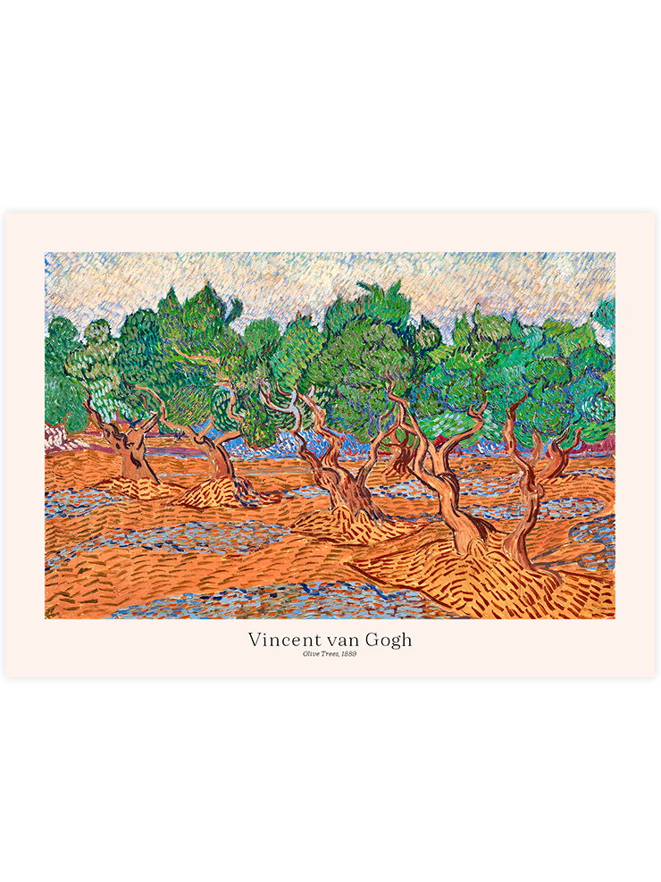 Van Gogh Zeytin Ağaçları - Art Print
