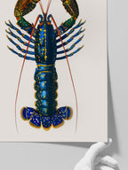 Vintage Istakoz - Art Print