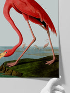 Vintage Flamingo - Art Print