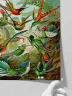 Vintage Kolibri - Art Print