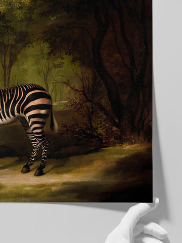 Vintage Zebra - Art Print