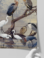 Vintage Büyük Mavi Balıkçıl - Art Print