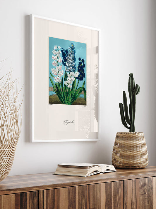 Vintage Hyacinth Poster - Giclée Baskı