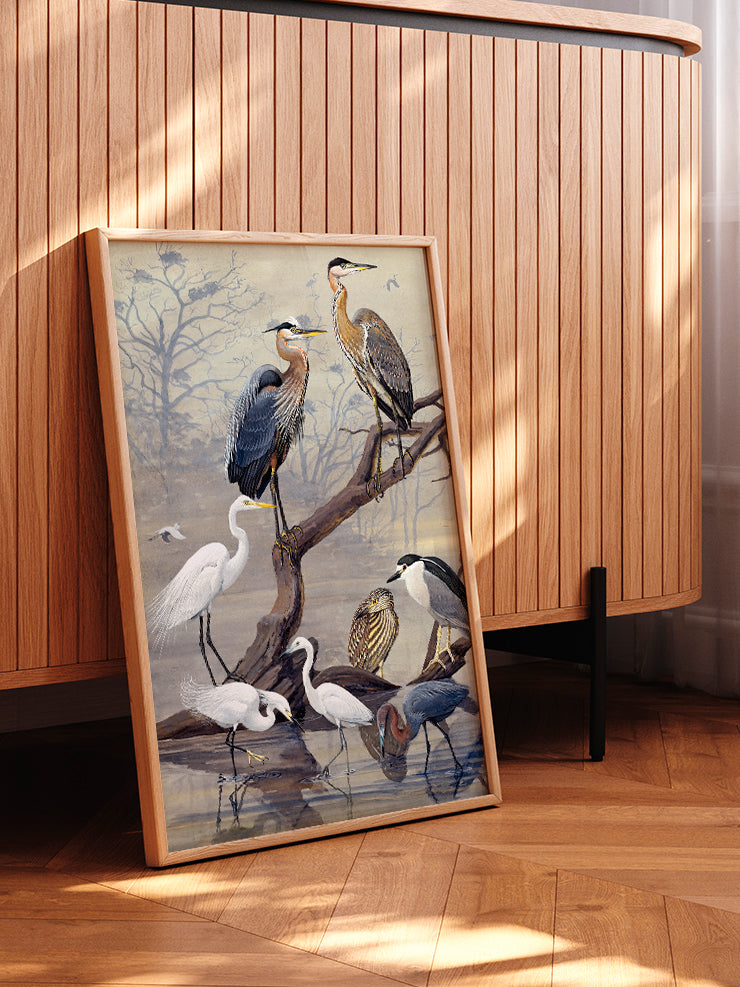 Vintage Büyük Mavi Balıkçıl - Art Print Ürün ikincil görseli