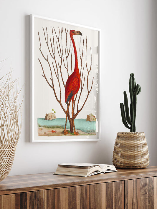 Vintage Kırmızı Flamingo Poster - Giclée Baskı