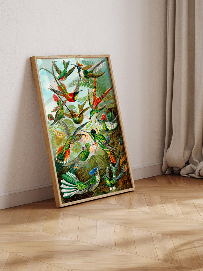 Vintage Kolibri - Art Print  Poster