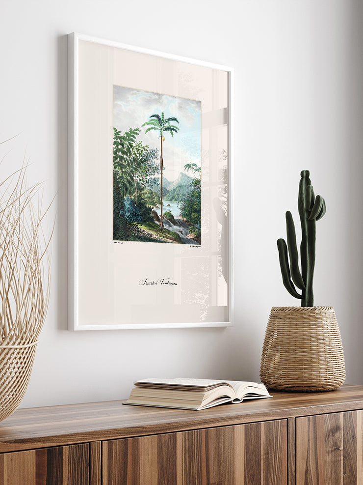 Vintage Palmiye İllüstrasyonu - Art Print