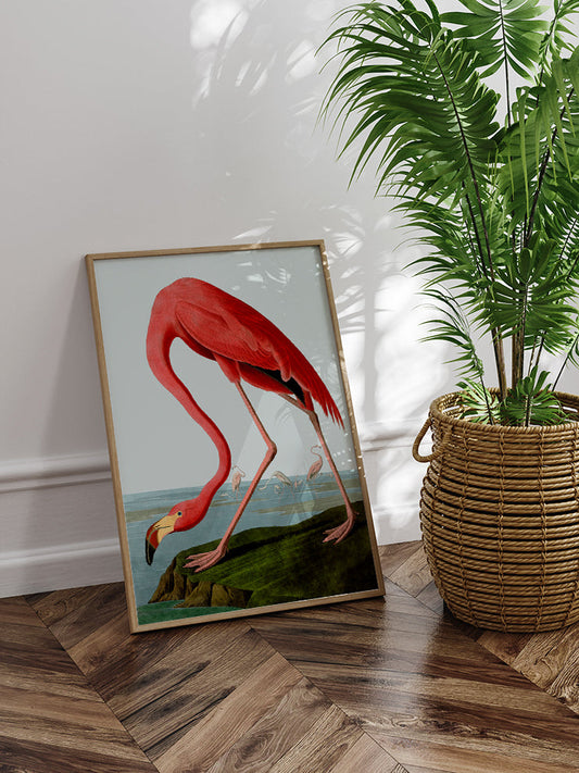 Vintage Flamingo Poster - Giclée Baskı