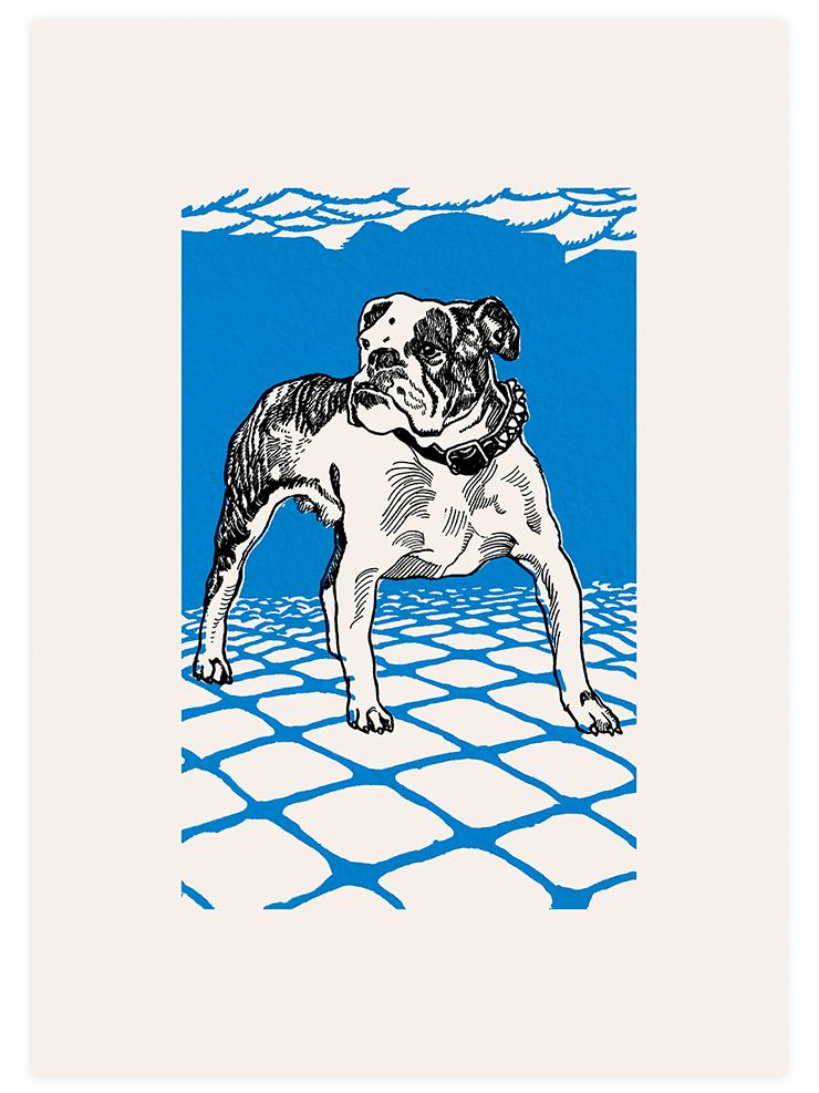 Vintage Bulldog - Art Print Ürün ana görseli