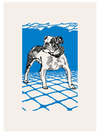 Vintage Bulldog - Art Print