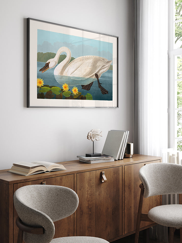 Vintage Kuğu - Art Print