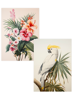 Papağan - Poster Seti Duo