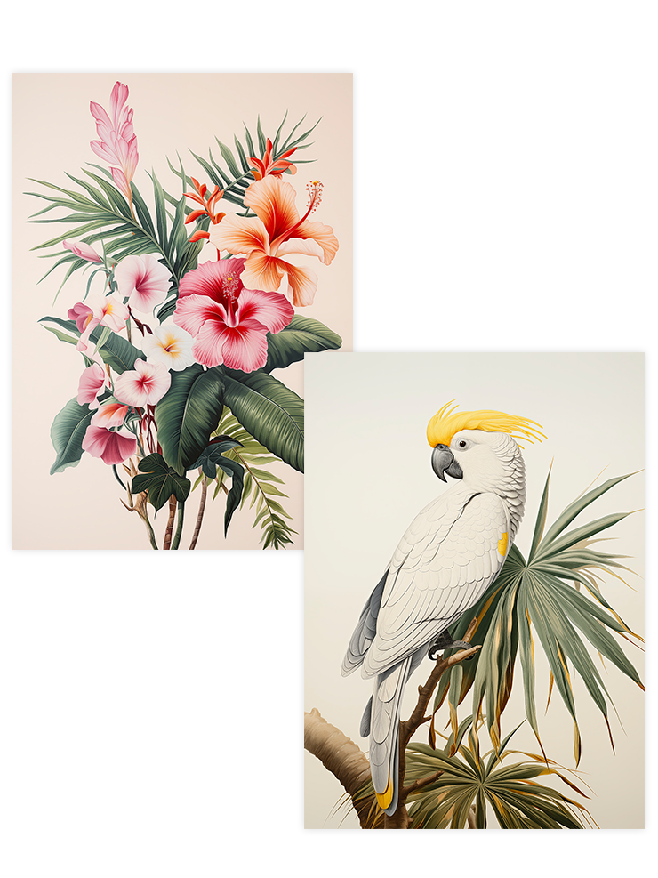 Papağan - Poster Seti Duo