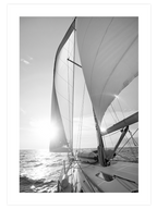 Charm & Beauty - Poster Seti Trio