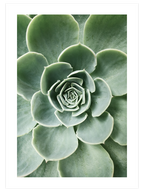 Green & Beige Synergy - Poster Seti