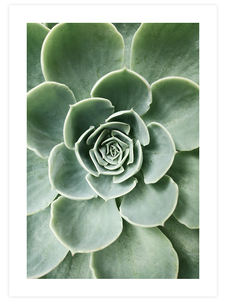 Green & Beige Synergy - Poster Seti