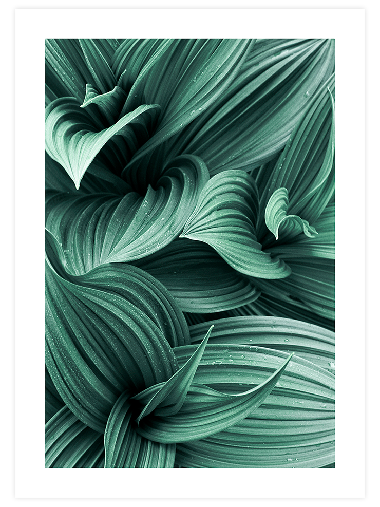 Green Perfection - Art Print Ürün ana görseli