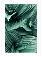 Green Perfection - Art Print