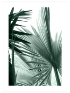 Green Elegance Poster Seti