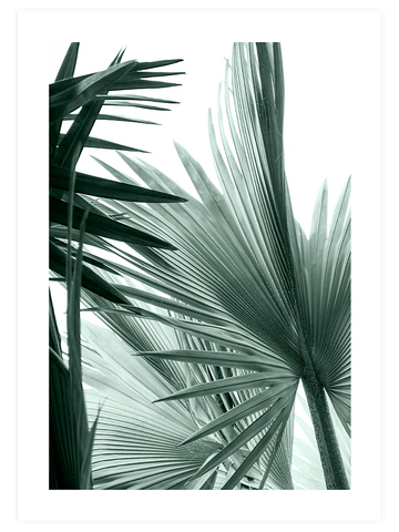 Green Elegance Poster Seti
