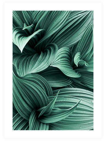 Green Perfection - Art Print