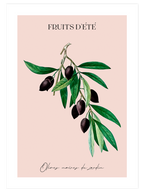 Fruits D’Eté - Art Print