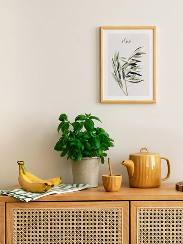 Olivo - Art Print