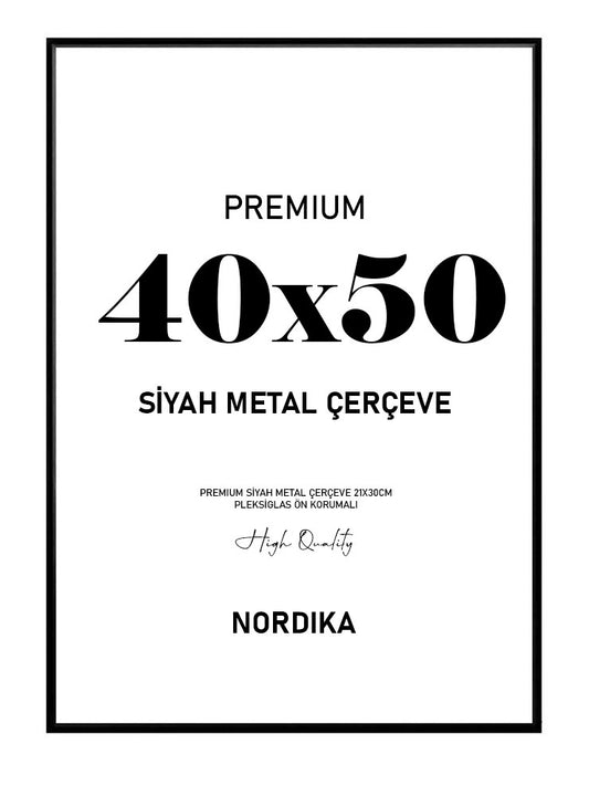 Siyah Metal Çerçeve 40x50cm