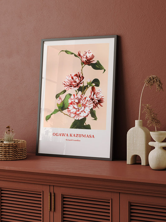 Ogawa Kazumasa Striped Camellias - Fine Art Poster
